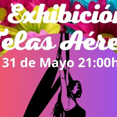 EXHIBICIÓN TELAS ÁEREAS